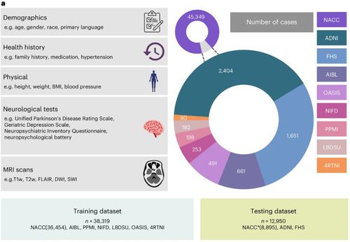 人工智能軟件助力失智癥診斷 精準快速的新希望